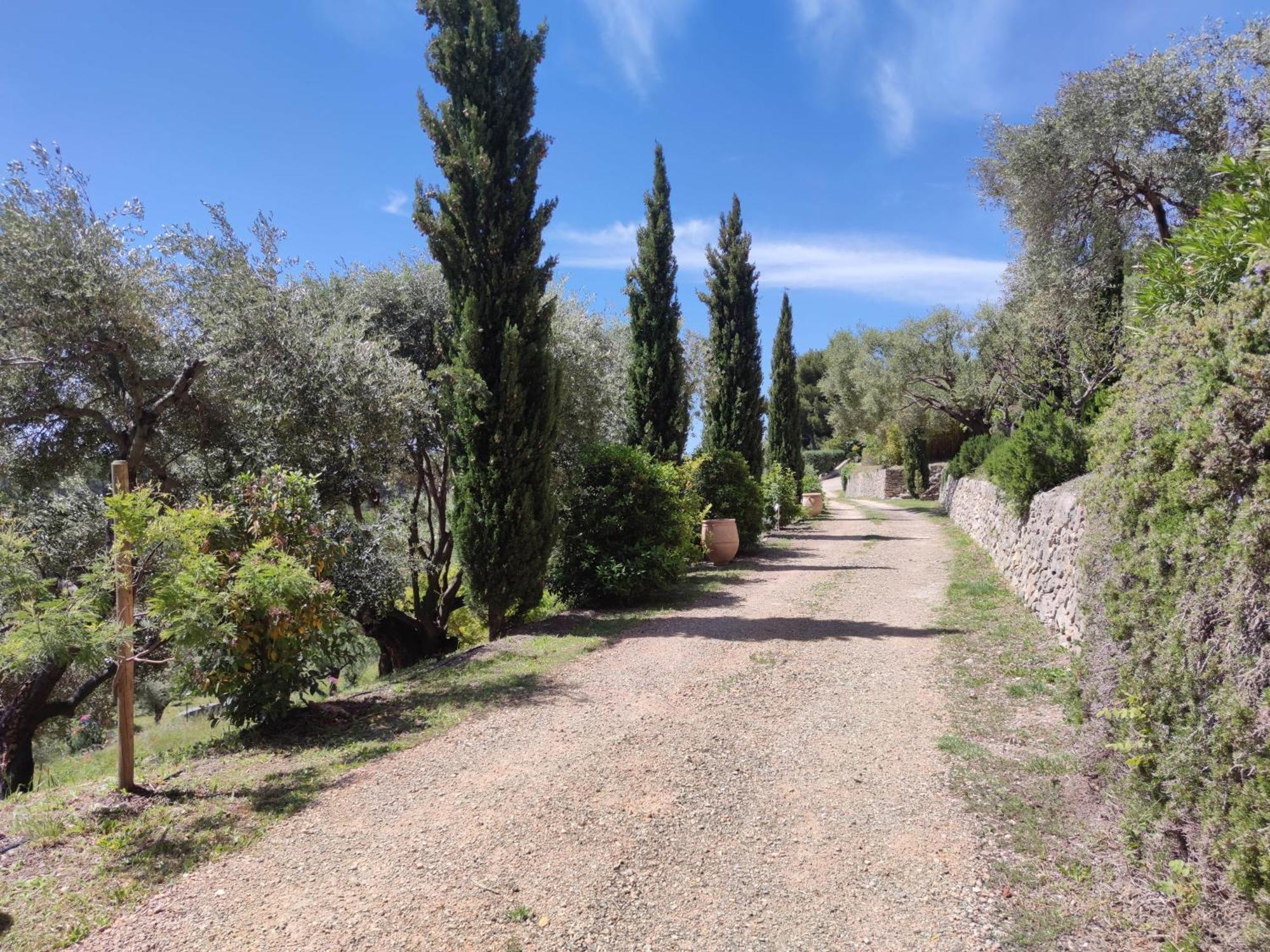 Villa Des Oliviers Sanary-sur-Mer Exterior photo