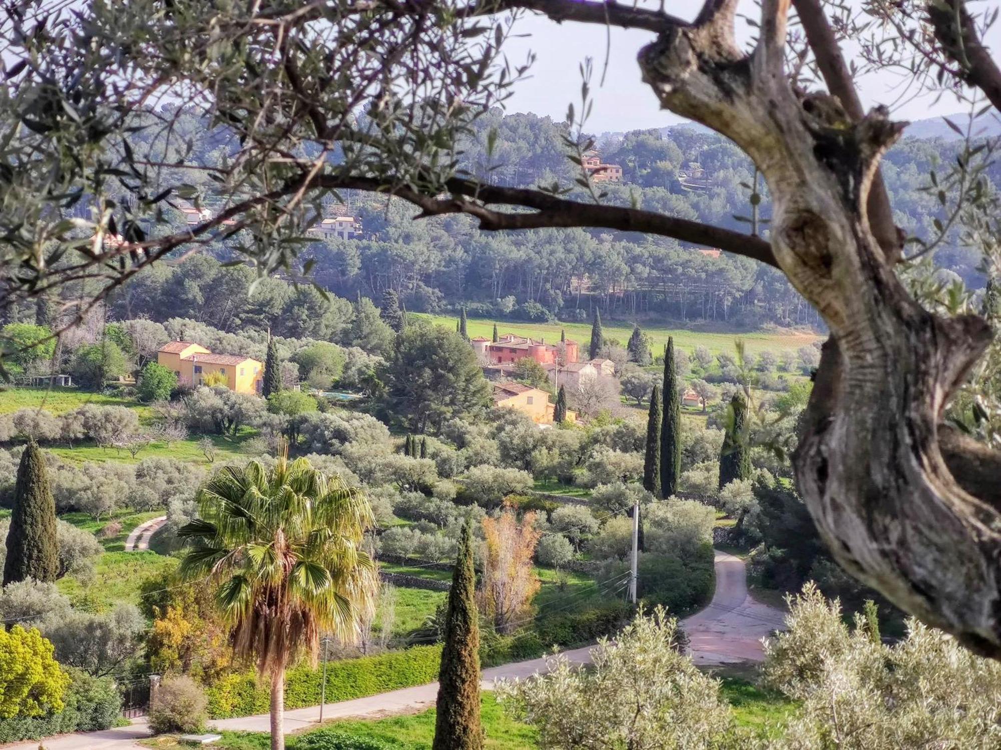 Villa Des Oliviers Sanary-sur-Mer Exterior photo